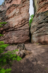 buntsandsteinfelsen bei annweiler in der pfalz