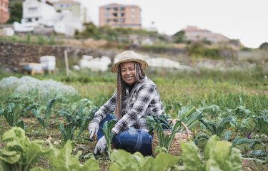 Happy african senior woman gardening - Happy black person enjoy the harvest period