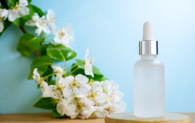 Blank transparent beauty serum dropper on a blue background with blooming apple tree branch. Beauty care concept,selective focus.