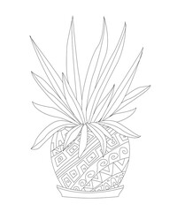 growing Chlorophytum flower in flowerpot for your coloring pages