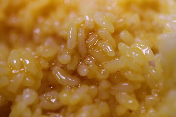 close up of a rice