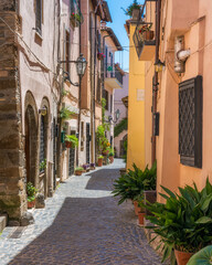 Obraz premium Scenic sight in Trevignano Romano, overlooking the Bracciano Lake. Rome Province, Lazio, Italy.