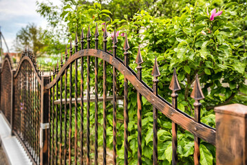 Wrought Iron Fence. Metal fence
