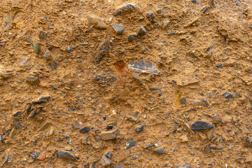 Fondo o textura de una pared de arena y piedras