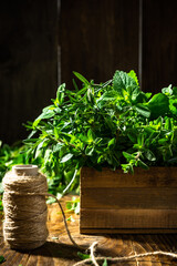 Fresh Herbs in Wooden Rustic Box. Healthy Eating. Home Grown Plants