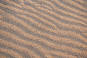 Arena de playa (Textura)