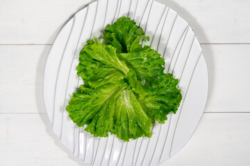 green salad leaves on a white dish