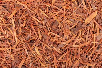 Lapacho herbal tea background. Natural Taheeboo dry tea. Pau d'arco herb. Tabebuia heptophylla.