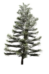 Christmas Pine tree isolated on white background.