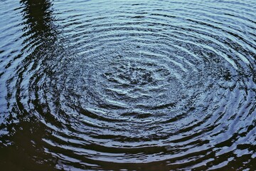 ripples in the water