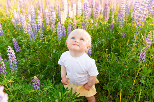 Happy little girl smiling outdoor. Beautiful blond young baby girl resting on summer field with blooming wild flowers green background. Free happy kid childhood concept. Positive toddler child