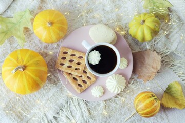 A cup of coffee with meringues, cookies, pumpkins, leaves on a warm plaid, illumination, the concept of home comfort, relaxation, loneliness, Thanksgiving, autumn, October