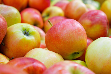 Red apples of the Jonagold variety on the counter of the farmers market. Jonagold apple-tree of American selection with fruits of late winter period. Natural products, seasonal fruits, local food.