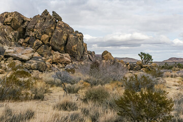 Joshua Tree National Park, CA, USA - December 30, 2012: Tall heap of brown rocks with dry and green shrub in front under mostly thick silver sky.