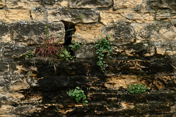 l'eau du mur et pierres anciennes