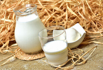 Goat milk in a glass jug and a bowl of fresh goat cheese on vintage decorative background with dry straw and hay.