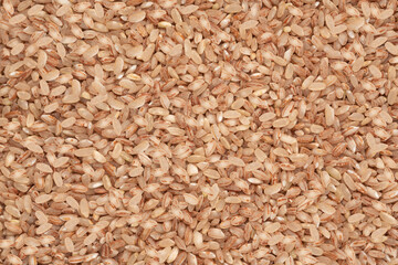 dry devzire rice. lightly milled rice with a pinkish tint. food background, texture