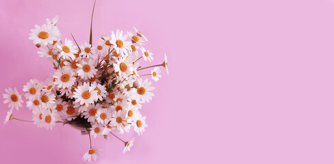 bouquet of daisies on a colored background