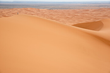 Sahara Desert in Marrakech, Morocco