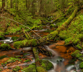 Skrivan color creek in Krusne mountains in spring morning after rain