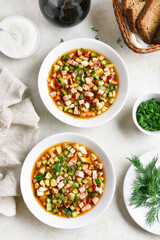 Cold russian soup Okroshka