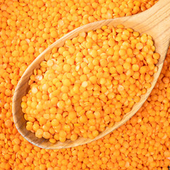 hulled red lentils in wooden spoon closeup