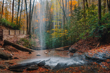 Fototapeta na wymiar Behind a waterfall known as Moore Cove Falls looking out towards the colorful, lush fall foliage of Pisgah National Forest, Transylvania County 