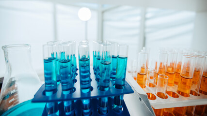 test tubes on the table in the laboratory. photo with a copy of the space.