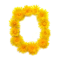 The letter O of yellow dandelions