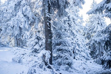 Góry zimą, najpiękniejsze widoki - obrazy, fototapety, plakaty