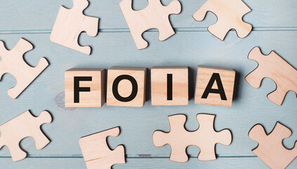 Blank puzzles and wooden cubes with the text FOIA The Freedom of Information Act lie on a light blue background.