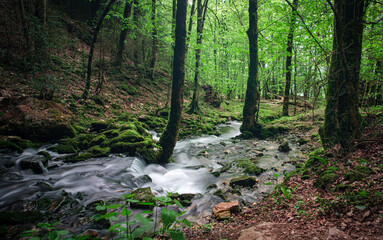 Source Moulin Marquis Vercors