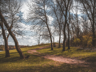 Fototapeta premium Природа / Nature