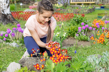 A cute little girl admires the garden blooming spring flowers in a flower bed. 