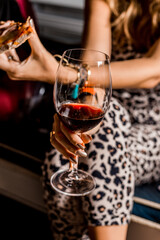 Group of Friends Women Female Hands Holding Wine Glasses and making a toast cheers