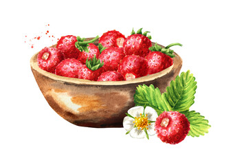 Bowl with ripe wild forest strawberries. Watercolor hand drawn illustration, isolated on white background