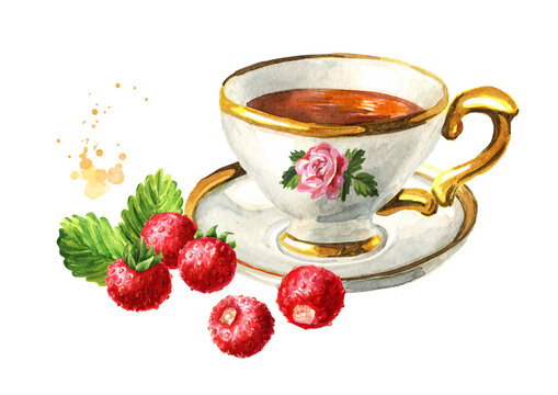 Cup of tea with Wild forest strawberries. Hand drawn watercolor illustration isolated on white background