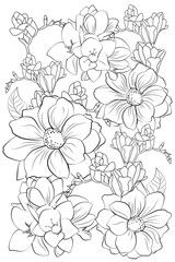 Adult Coloring book. Freesias and dahlias in floral garden. Floral Line art design for adult or kids.
