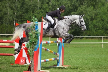 Outdoor kussens Young girl jumping obstacle with bay horse © horsemen