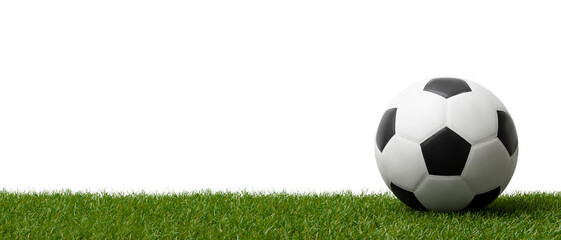 Soccer ball on green grass.  Professional sport concept. Horizontal sport poster, greeting cards, headers, website