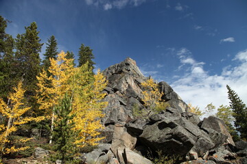 Fall colors in Bighorn Mountains, Wyoming