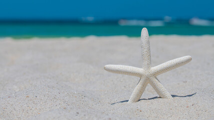 Fototapeta na wymiar Starfish or Sea Star. Beach sand. Summer vacations. Ocean coast line. Bright sunny day and blue color of salt water. Florida paradise. Tropical nature. Seascape Concept for travel agency or post card.