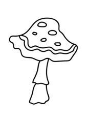 Hand drawn mushroom. Vector illustration.
