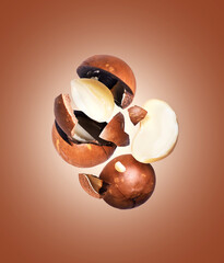 Crushed macadamia nuts close up on a brown background
