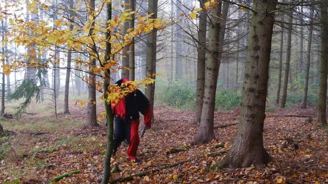 Halloween. creepy Harlequin with a knife sneaks and attacks in the autumn misty mystical forest.Fear and horror concept. Evil scary jester costume.