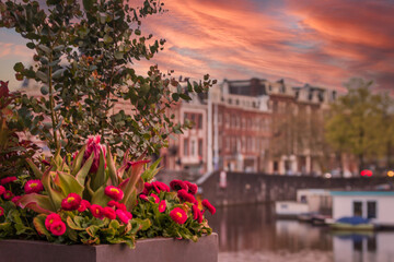 Fototapeta na wymiar sunset in amsterdam