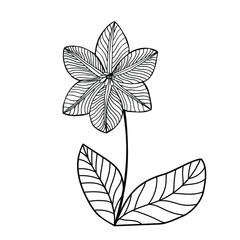  Orchid flower. Vector stock illustration eps10. Outline, Isolate on a white background. 