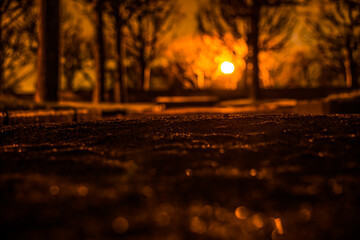 Park alley at night after the rain, the lantern shines through the trees. View from the level of the alley