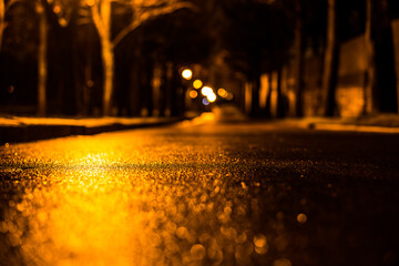 Park alley at night after the rain, the lantern illuminate the alley between trees. View from the level of the alley