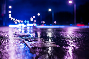 Rainy night in the big city, highway passing through a forest in the city park. View from the level of asphalt
